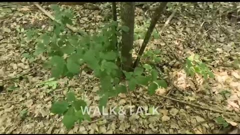 Ukrainian soldiers