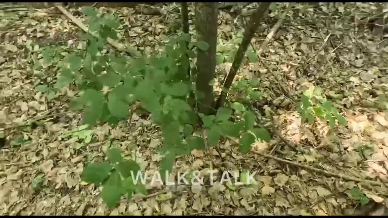 Ukrainian soldiers