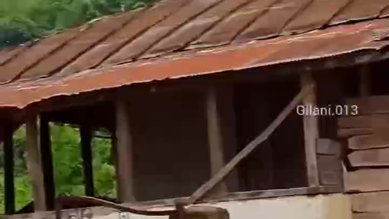 Varkureh