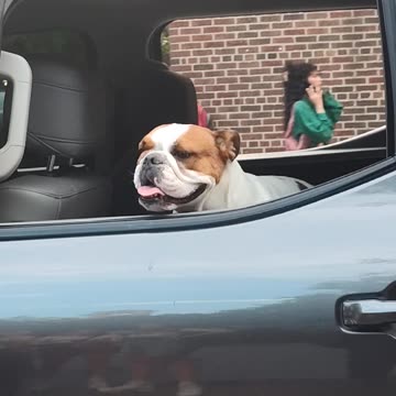 Feliz viajando en mi camioneta...