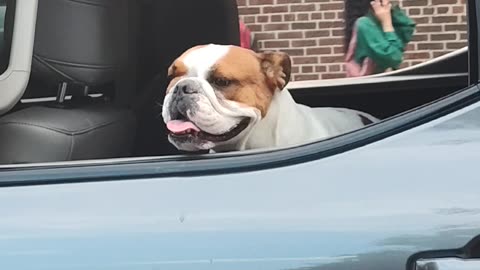 Feliz viajando en mi camioneta...