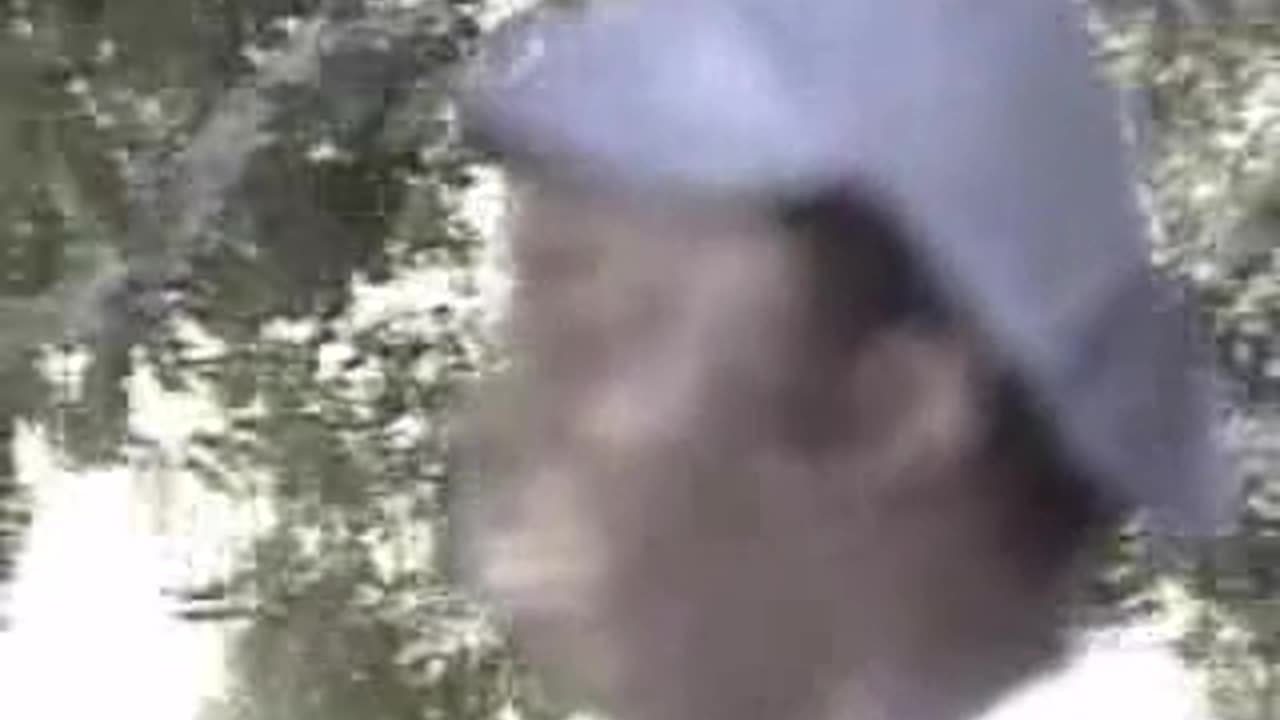 Milton Nascimento - Coração de Estudante (1984)