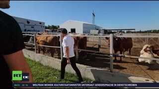 RT DE Live-TV