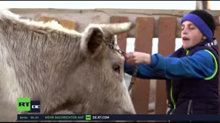 RT DE Live-TV