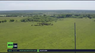 RT DE Live-TV