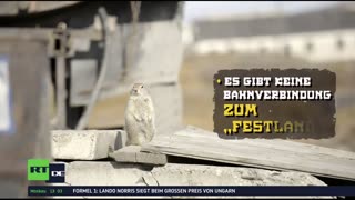 RT DE Live-TV