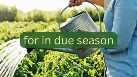 Scripture of the day