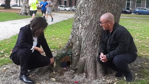 #348.1 - No House? Squat a Tree! - JACK&JOZEF -
