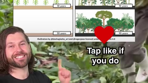 This guy in Brazil turned a dead rainforest back into a thriving farm forest!