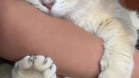 I did nothing today