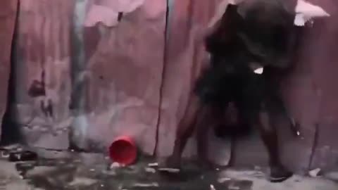 Dance school in Africa.