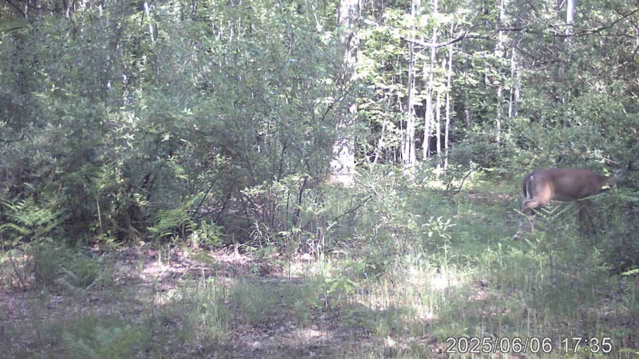 what do you think is happening out here?