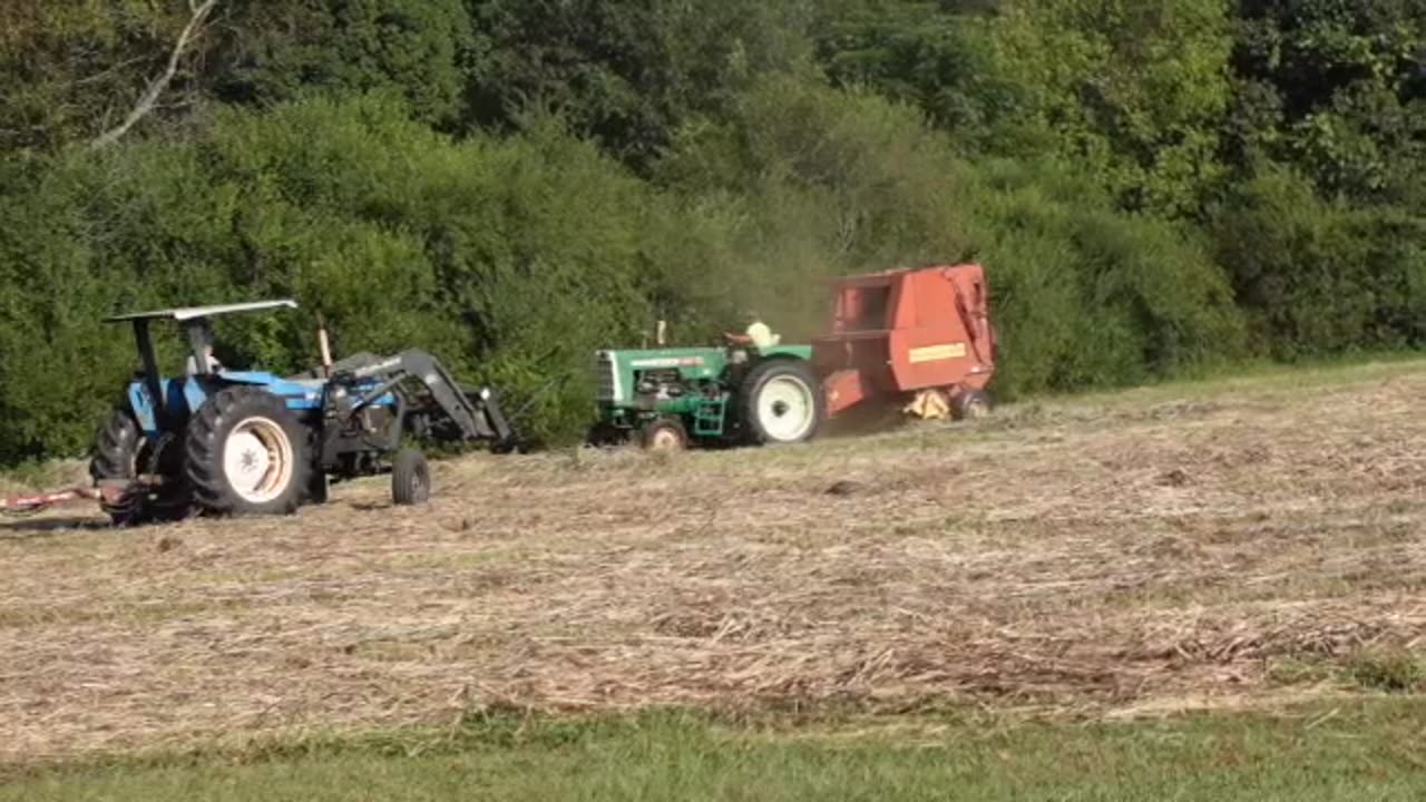 Hay Harvest September 2025
