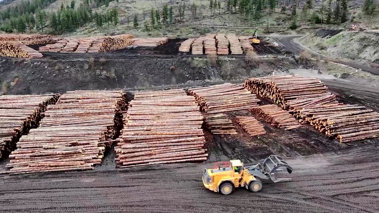 How a Canadian softwood lumber company is grappling with US tariffs