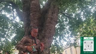 Jazz Nano Street Edition: Busking in Bath, England: 2025 Tour in UK