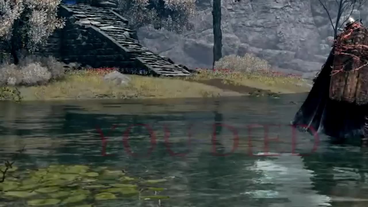 Elden Ring Nightreign Highlight