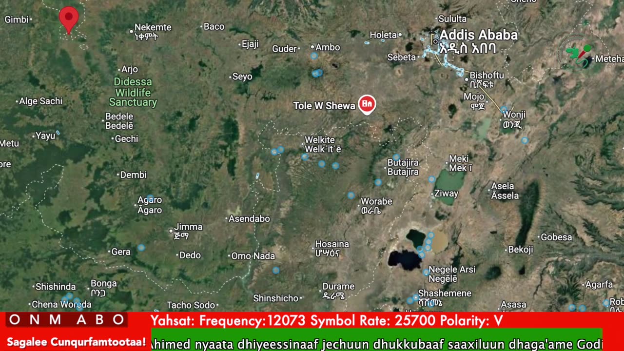 Oduu Ganama ONM-ABO Caamsaa 2-2025 itti dhiyaadhaa!