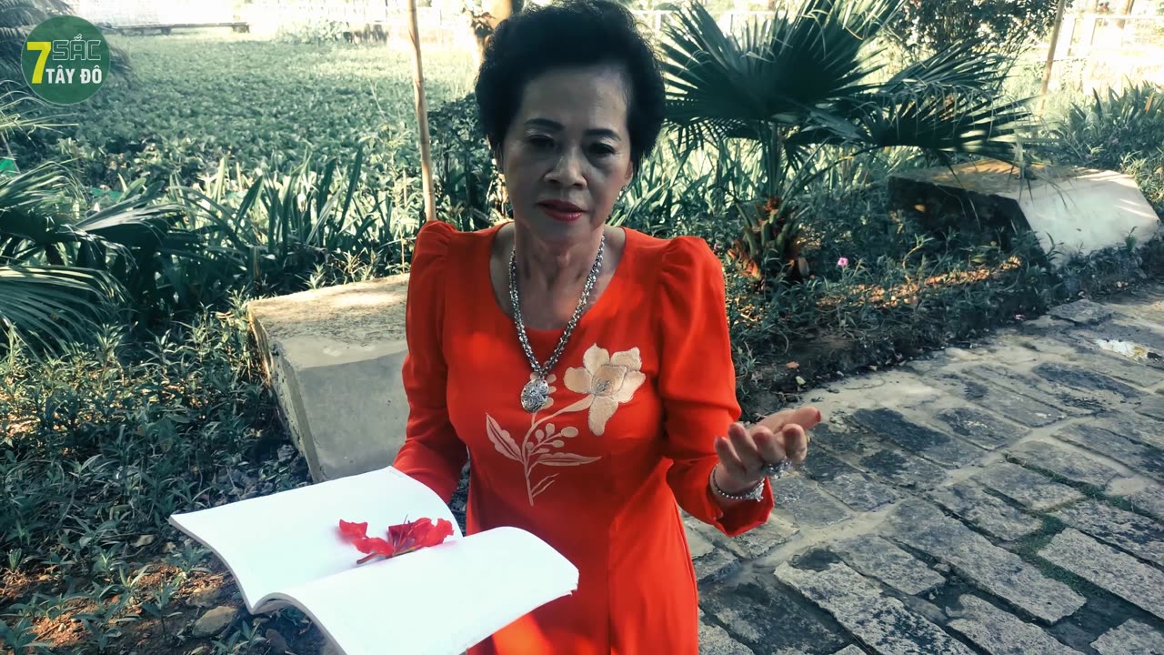 NỖI BUỒN HOA PHƯỢNG - TUYẾT NHUNG
