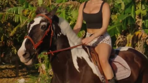 🤠🤠 horses horseriding rodeo