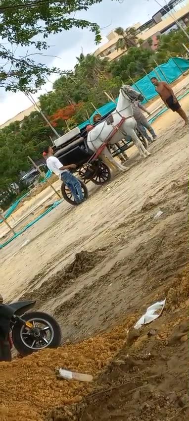Hombre patea brutalmente a un caballo cochero en Chambacú