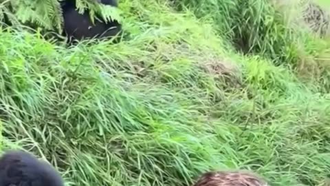 😱🤣 Universal Problem: Wife and Husband Fight! | FunFM