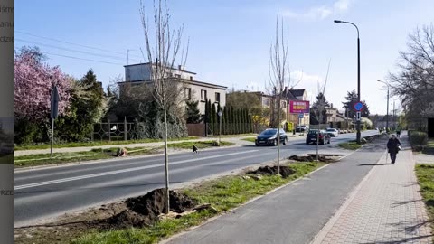 Impresje Poznańskiego Inżyniera Ruchu - bezpieczne przejście, tramwaj na polu wyłączonym z ruchu