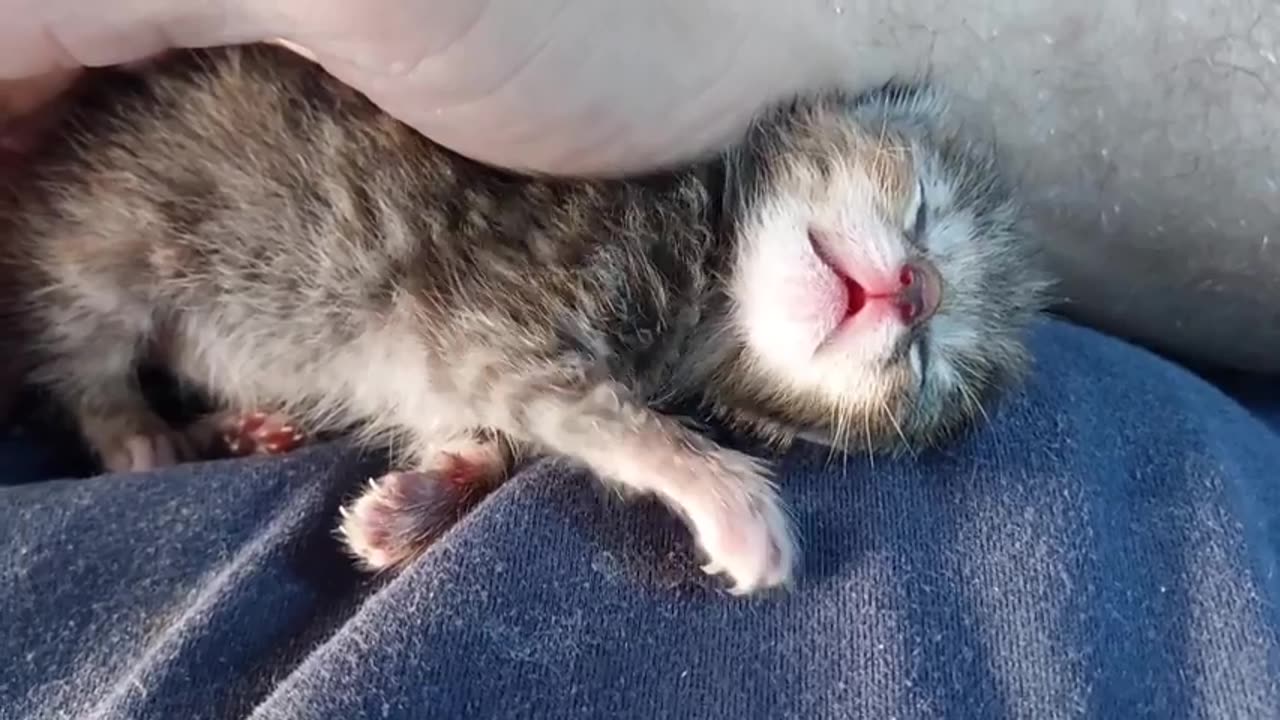 Little One 😻😻😻