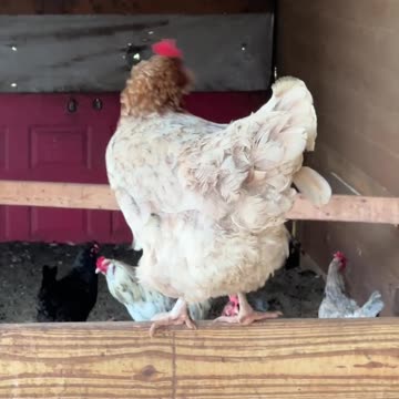 Pretty girl that's very shy