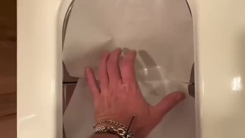 The Toilet That Judges You… Silently