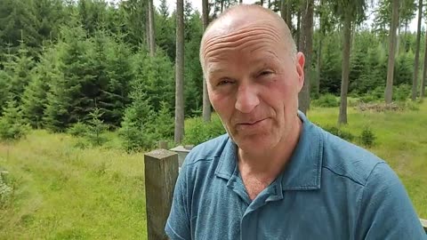 Wem gelten die Verheißungen der Bibel?