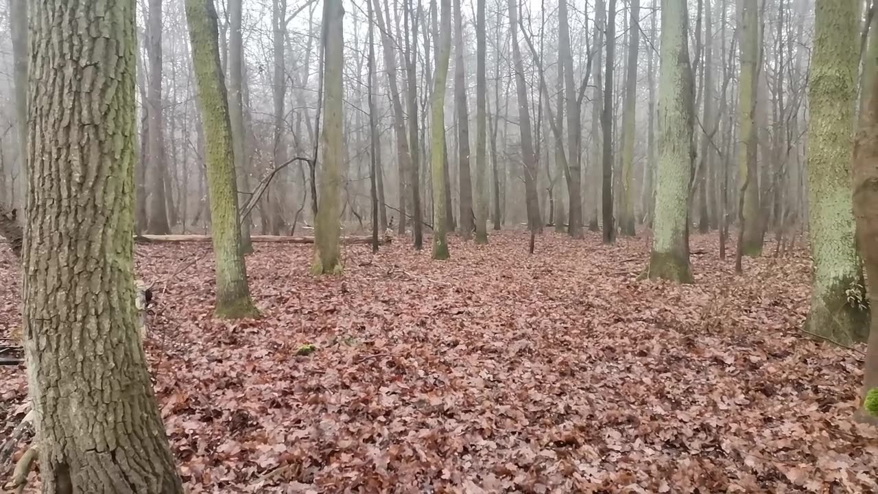 strach przed NOWYM ...