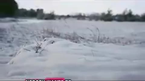 Exposing a pedophile ring in Minnesota