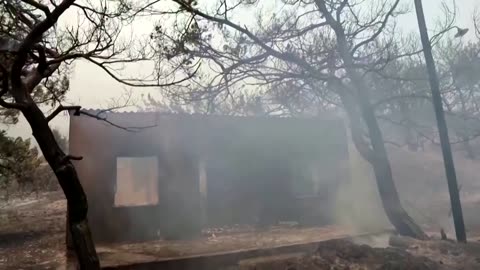 Greek city of Lesbos suffers through wildfires amid summer heatwave