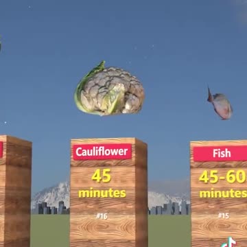 How long do foods stay in your stomach