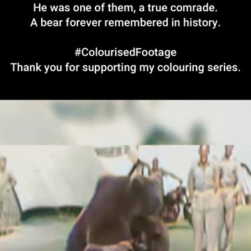 Corporal Wojtek The Bear Who Served in the Polish Army #ColourisedHistory