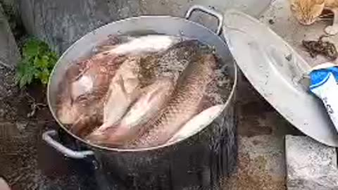 Fish 🐟🐠