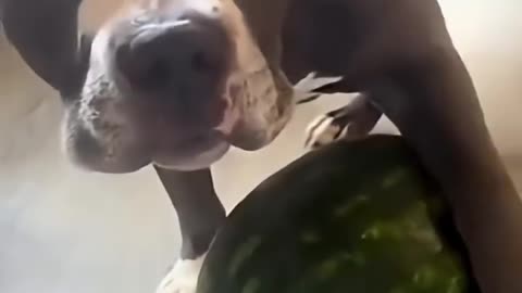 Я ЕГО БОЮСЬ, А ВЫ ??? 🆘🆘🆘