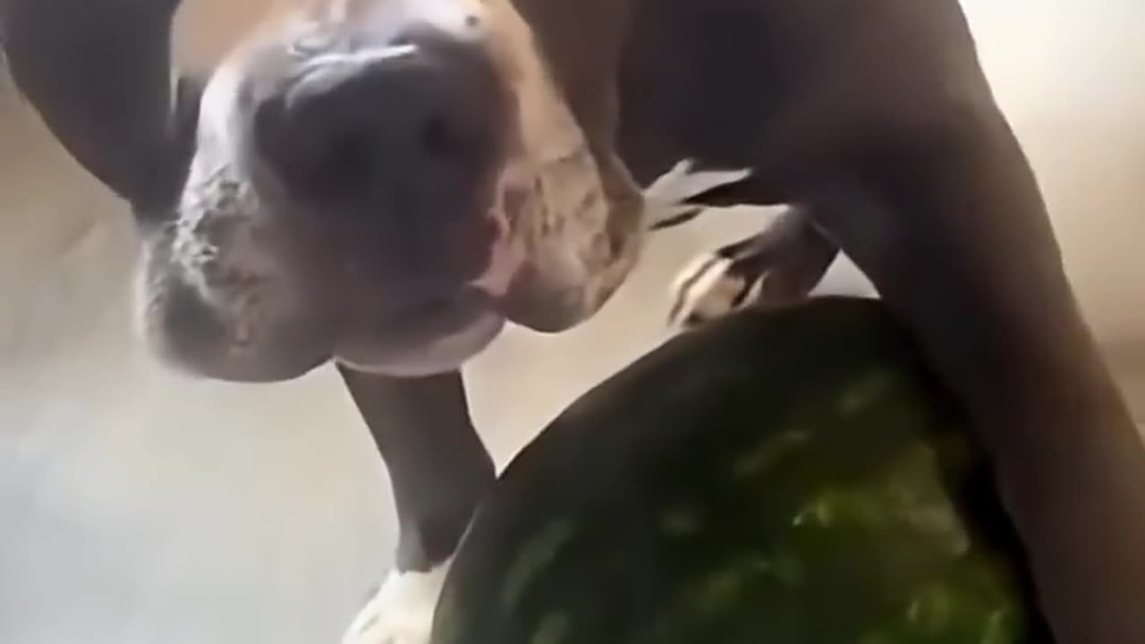 Я ЕГО БОЮСЬ, А ВЫ ??? 🆘🆘🆘