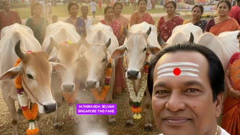 ONE SUN ONE TMS LEGEND M.THIRAVIDA SELVAN SINGAPORE TMS FANS 1026