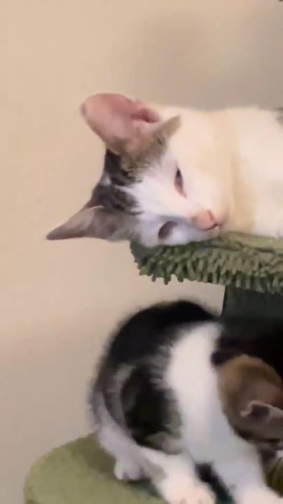 Reminiscing the long past days of peace and quiet