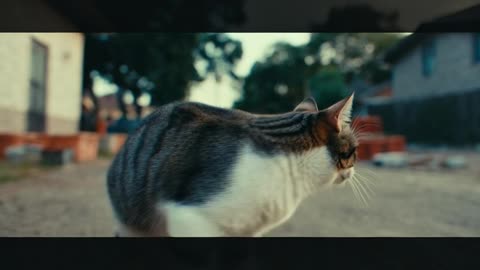 “Try Not to Laugh 😂 | Funniest Cute Animal Videos Ever” Funny Animals That Will Make