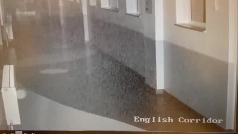 😱👻 Is This School Really Haunted? | TheHauntingHour