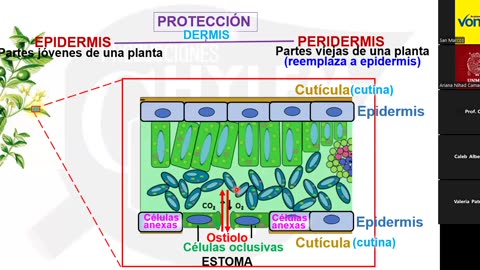 VONEX REPASO 2025 | Semana 07 | Biología S1