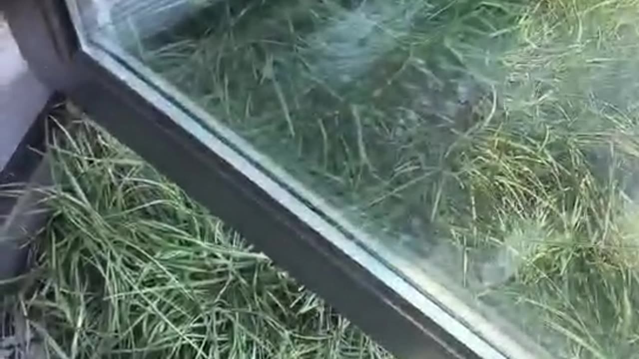 PF-102A Kentucky Door