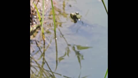 Weather in Geauga county.