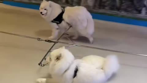 Coasting into the New Year 😊