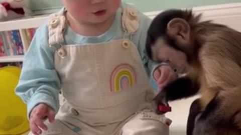 Cute Baby Playing With Animals | Adorable Baby & Pets Moments | Funny Animal Reactions”