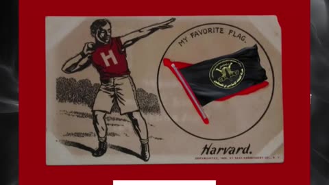 Harvard, other universities co-sponsor event with convicted terrorist associate