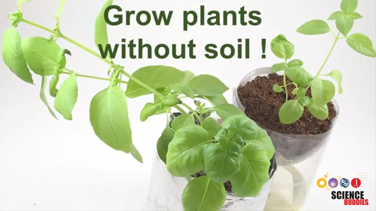 Top 10 Middle School Science Projects