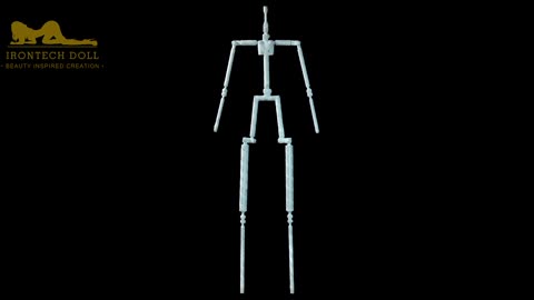 Sex Doll EVO Skeleton Explained